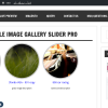 Team-slider-Pro Version Slider With Description