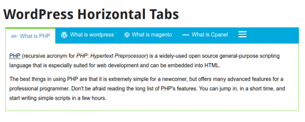 WordPress Responsive Horizontal Tabs