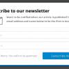 WordPress_Newsletter_Style_1