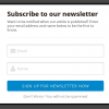 WordPress_Newsletter_Style_3