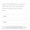 WordPress_Newsletter_widget