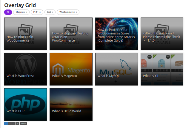 WordPress_Post_Grid_Overlay_style