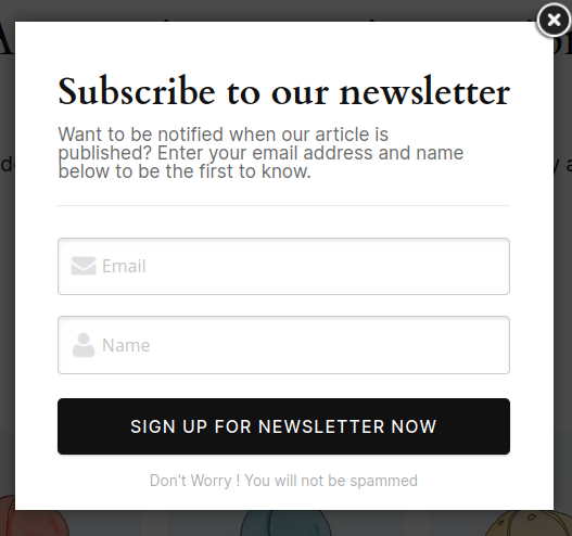 newsletter_subscription_style_5_minimal