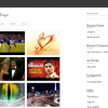 wordpress-responsive-filterable-portfolio-frontend-1