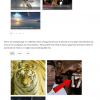 wordpress-responsive-filterable-portfolio-frontend